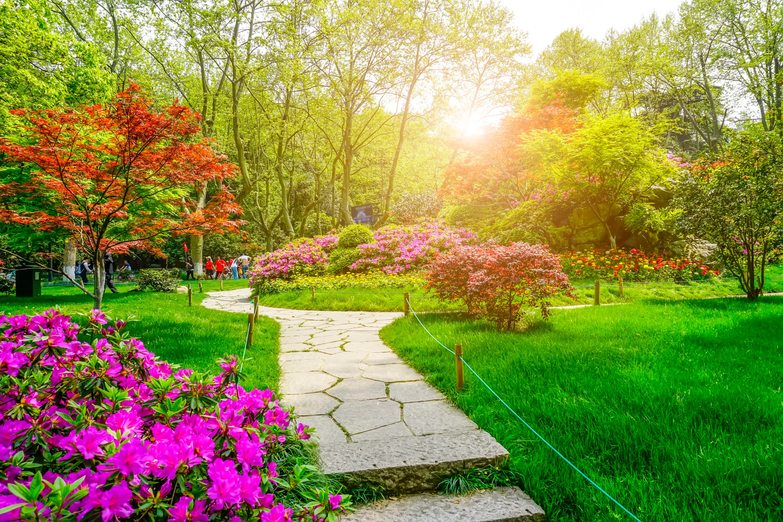 beautiful-green-park-Copy-scaled